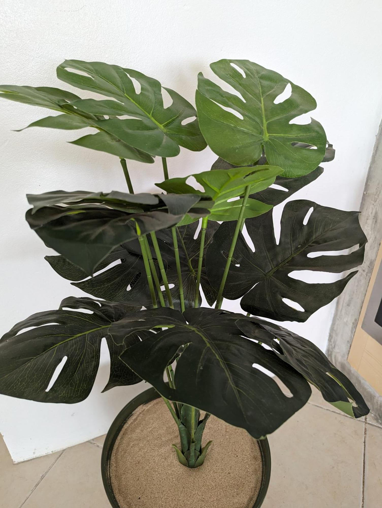 萨尔雷Tropical Leaves Sea View Penthouse Ca Greta 2 Floor公寓 外观 照片